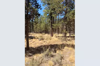 56031 Savage Road, Bend, OR 97707 - Photo 6