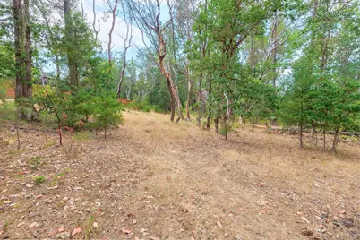 4529 E Evans Creek Road, Rogue River, OR 97537 - Photo 2