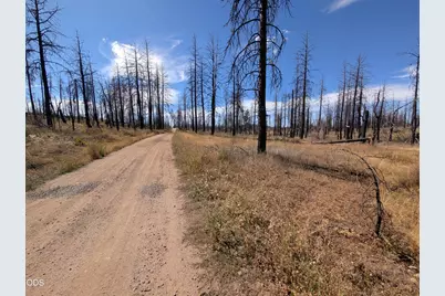 Black Buck Lane #25, Chiloquin, OR 97624 - Photo 2
