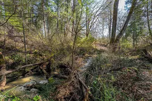 232 Riessen Rd, Grants Pass, OR 97526 - Photo 46