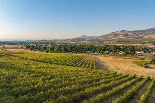 202 Pleasant View Rd, Talent, OR 97540 - Photo 6