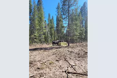 72921 Sun Mountain Road, Chiloquin, OR 97624 - Photo 18