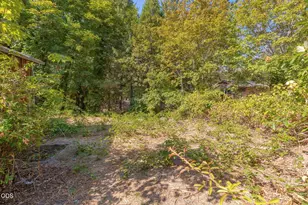 7079 Rogue River Hwy, Rogue River, OR 97537 - Photo 8