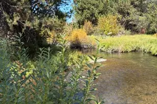 130126 Muley Dr, Crescent Lake, OR 97733 - Photo 6