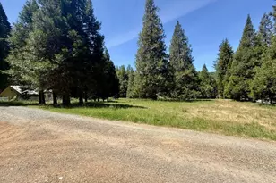 301 Humphrey Addition Rd, Glendale, OR 97442 - Photo 8