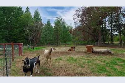 1771 Mill Creek Drive, Prospect, OR 97536 - Photo 46