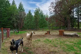 1771 Mill Creek Dr, Prospect, OR 97536 - Photo 46