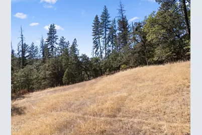 15357 Meadows Road #1200, White City, OR 97503 - Photo 14