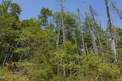 0 Murphy Creek Road TL #600, Grants Pass, OR 97527 - Photo 42
