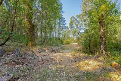 0 Murphy Creek Road TL #600, Grants Pass, OR 97527 - Photo 30
