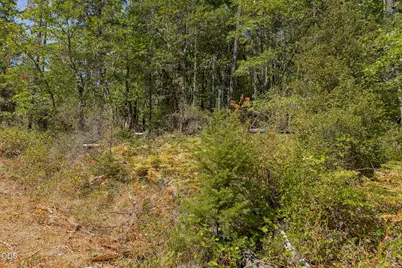 0 Murphy Creek Road TL #600, Grants Pass, OR 97527 - Photo 44
