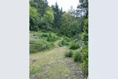 5334 Griffin Creek Road, Medford, OR 97501 - Photo 42