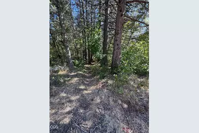 705 Lone Mountain Road, O'Brien, OR 97534 - Photo 28
