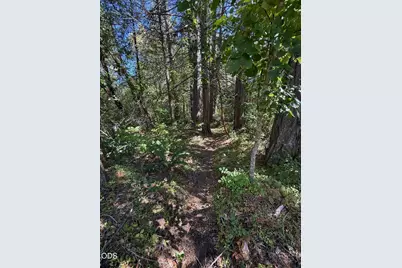 705 Lone Mountain Road, O'Brien, OR 97534 - Photo 26