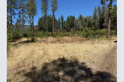 705 Lone Mountain Road, O'Brien, OR 97534 - Photo 20