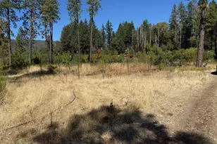 705 Lone Mountain Rd, O'Brien, OR 97534 - Photo 30
