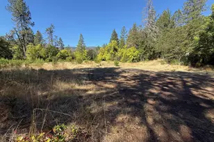 705 Lone Mountain Rd, O'Brien, OR 97534 - Photo 26