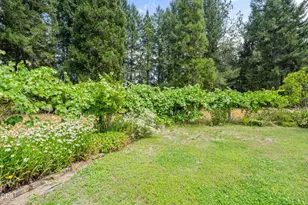 273 Fawn Ln, Azalea, OR 97410 - Photo 16