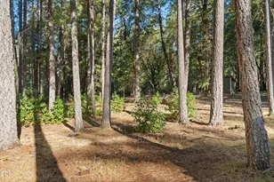 200 Harlow Way, Cave Junction, OR 97523 - Photo 40