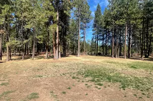 34423 Castle Dr, Chiloquin, OR 97624 - Photo 36