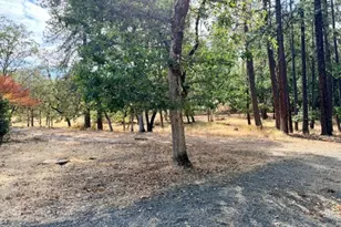 6701 Tunnel Loop Rd, Grants Pass, OR 97526 - Photo 2