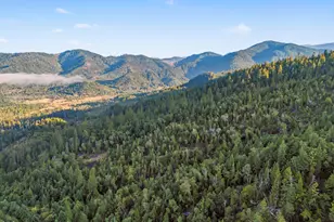 300 Shanks Creek Rd, Wolf Creek, OR 97497 - Photo 34