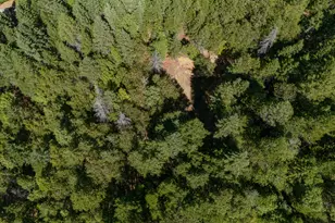 2777 Caves Hwy, Cave Junction, OR 97523 - Photo 26