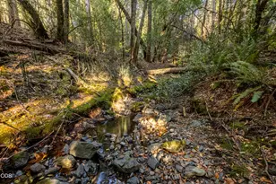 2777 Caves Hwy, Cave Junction, OR 97523 - Photo 20