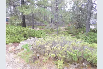 15972 Bull Bat Lane, La Pine, OR 97739 - Photo 8