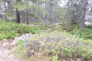 15972 Bull Bat Ln, La Pine, OR 97739 - Photo 8