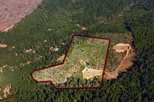 990 Indian Creek Rd, Selma, OR 97538 - Photo 1
