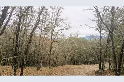 00 Azalea Drive Cut Off Drive #1100,609, Grants Pass, OR 97526 - Photo 4