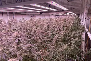 [Address not provided], Eugene, OR 97402 - Photo 1