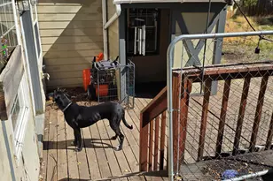 156 E Ash St, Union, OR 97883 - Photo 14