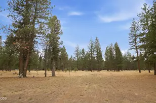 69460 Crooked Horseshoe Rd, Sisters, OR 97759 - Photo 26