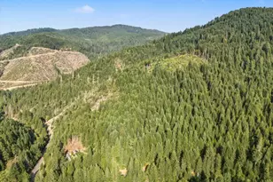 7007 Placer Rd, Wolf Creek, OR 97497 - Photo 96