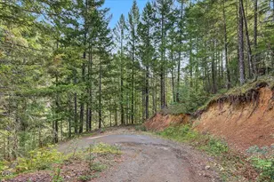 7007 Placer Rd, Wolf Creek, OR 97497 - Photo 70