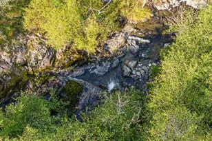 7007 Placer Rd, Wolf Creek, OR 97497 - Photo 102