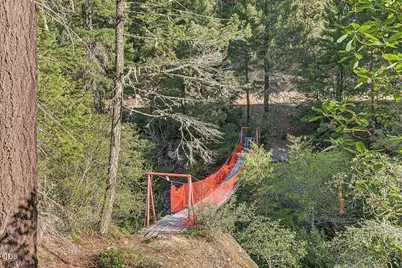 7007 Placer Road, Wolf Creek, OR 97497 - Photo 4