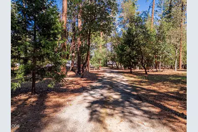 1946 Lampman Road, Gold Hill, OR 97525 - Photo 44