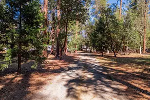 1946 Lampman Rd, Gold Hill, OR 97525 - Photo 44