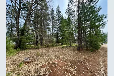 N Old Stage Road #3303, Cave Junction, OR 97523 - Photo 2
