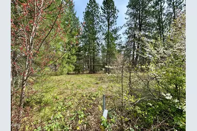 731 N Old Stage Road, Cave Junction, OR 97523 - Photo 2