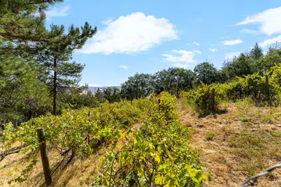 2200 Lupine Drive, Ashland, OR 97520 - Photo 44