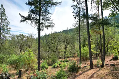 2461 W Evans Creek Road, Rogue River, OR 97537 - Photo 40
