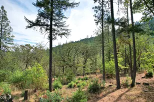 2461 W Evans Creek Rd, Rogue River, OR 97537 - Photo 40