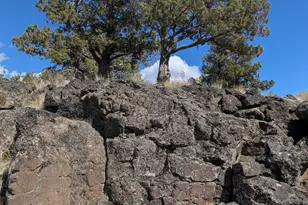 5909 SE Pueblo Rd, Prineville, OR 97754 - Photo 28