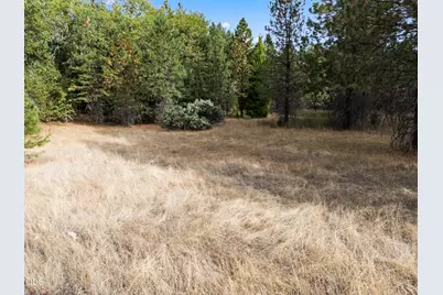 0 Lakeshore Drive TL#1000, Selma, OR 97538 - Photo 4