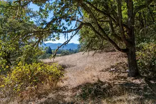 5961 Lookingglass Rd, Roseburg, OR 97471 - Photo 46