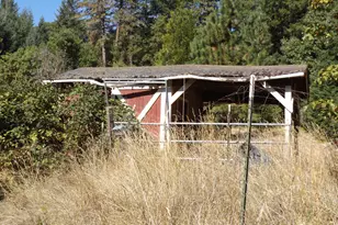 1144 Starveout Creek Rd, Azalea, OR 97410 - Photo 8